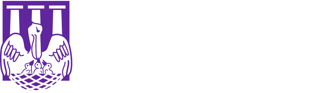 NSU Foundation Logo