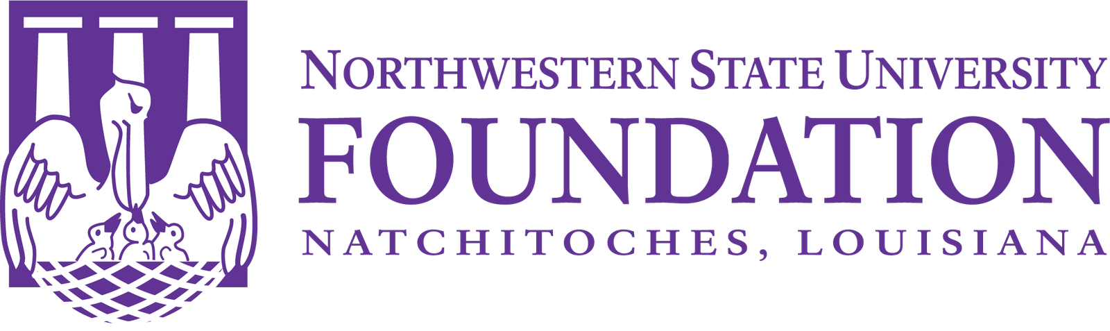 NSU Foundation Logo Dark