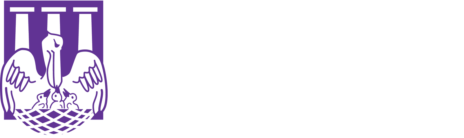 NSU Foundation Logo Light